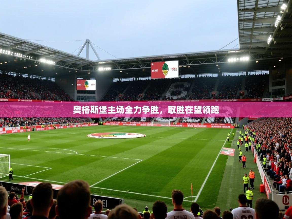 奥格斯堡主场全力争胜,取胜在望领跑 奥格斯堡主场全力争胜,取胜在望领跑