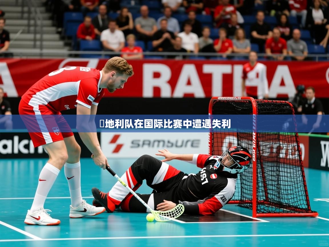 奧地利队在国际比赛中遭遇失利 奧地利队在国际比赛中遭遇失利