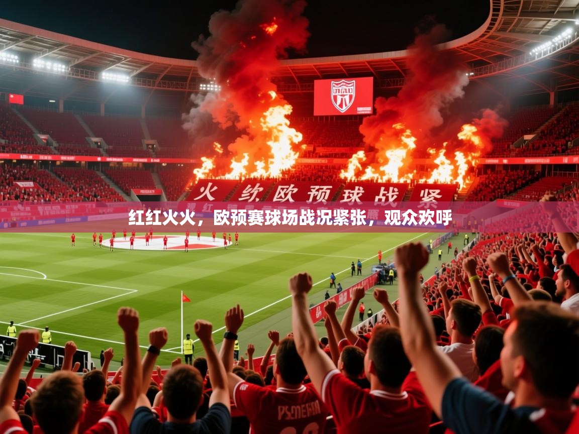 红红火火，欧预赛球场战况紧张，观众欢呼