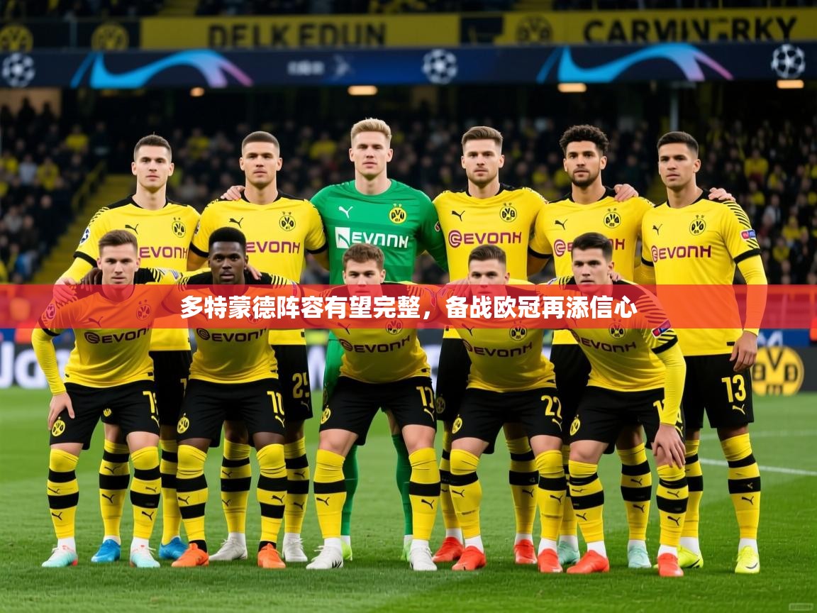 多特蒙德阵容有望完整，备战欧冠再添信心