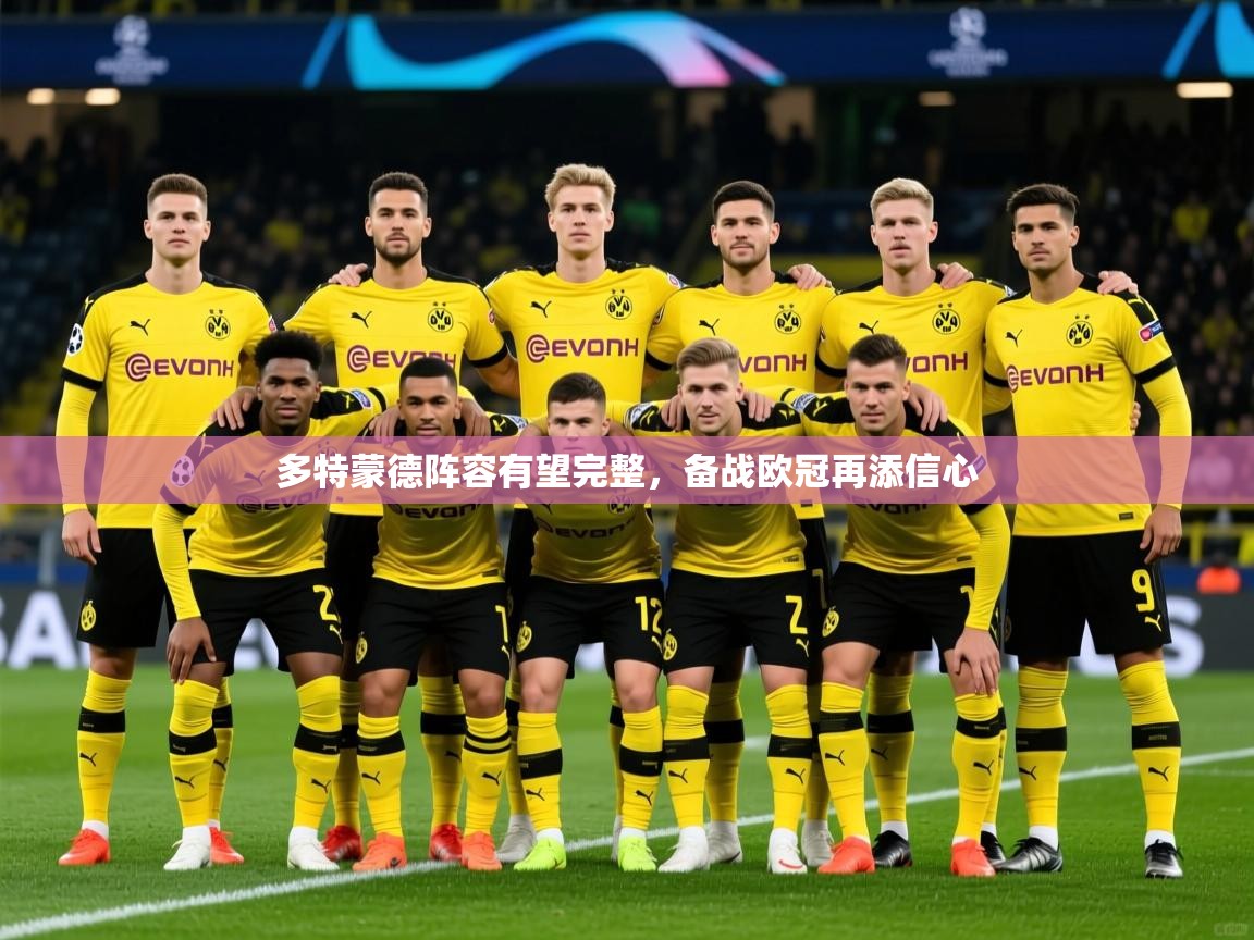 多特蒙德阵容有望完整，备战欧冠再添信心